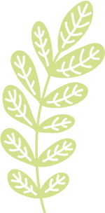 leafbackgreen